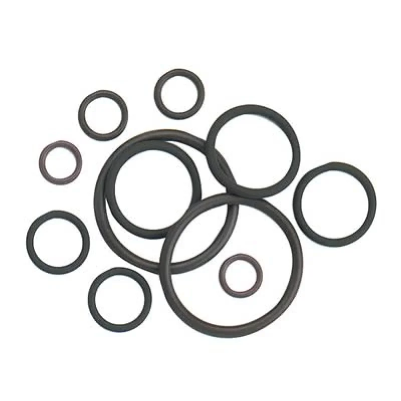 fassmotorsports123604757