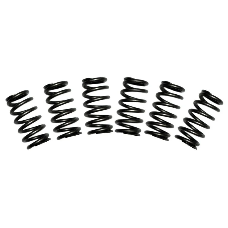 fassmotorsports13922054