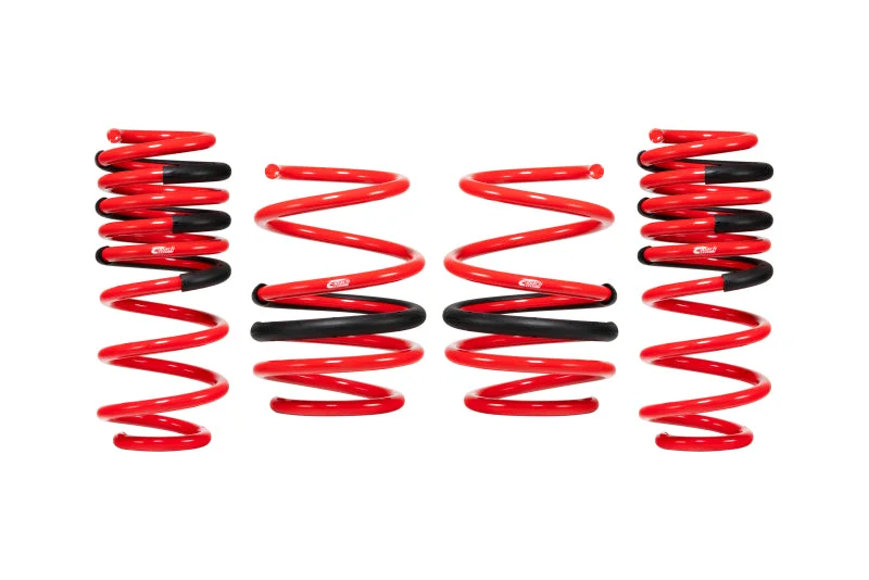 fassmotorsports33564004