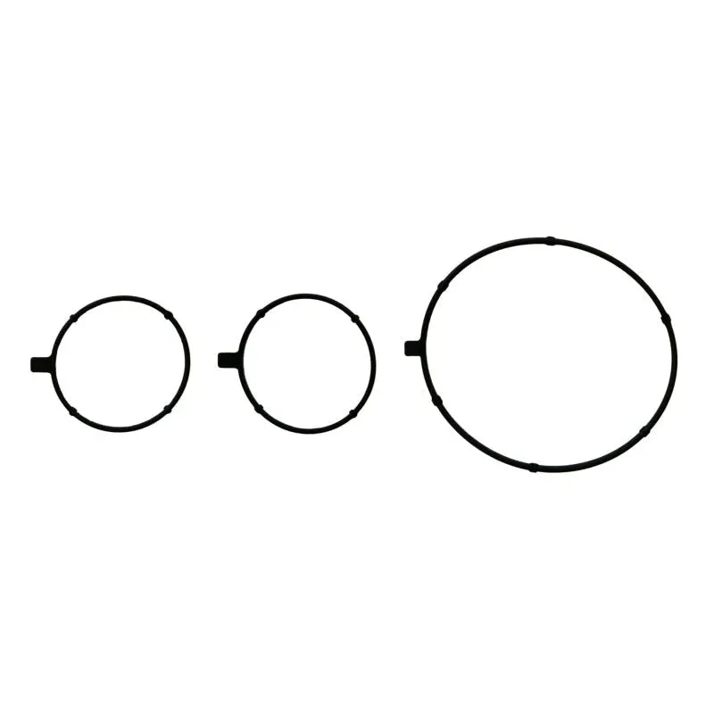 fasthemis33899928