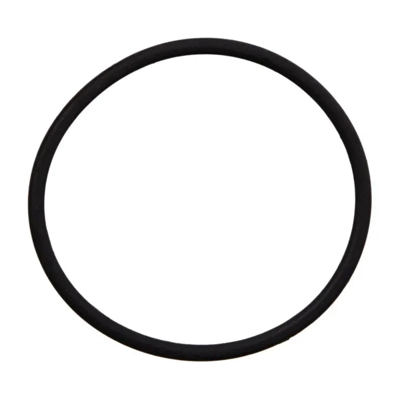 fasthemis33900395