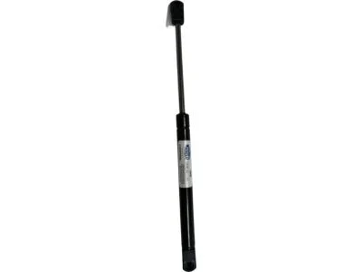 moparpartsgiant21-4321596