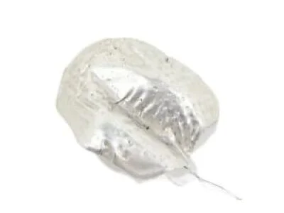 moparpartsgiant3-4127210