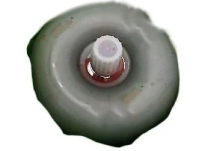 moparpartsgiant7-4168641